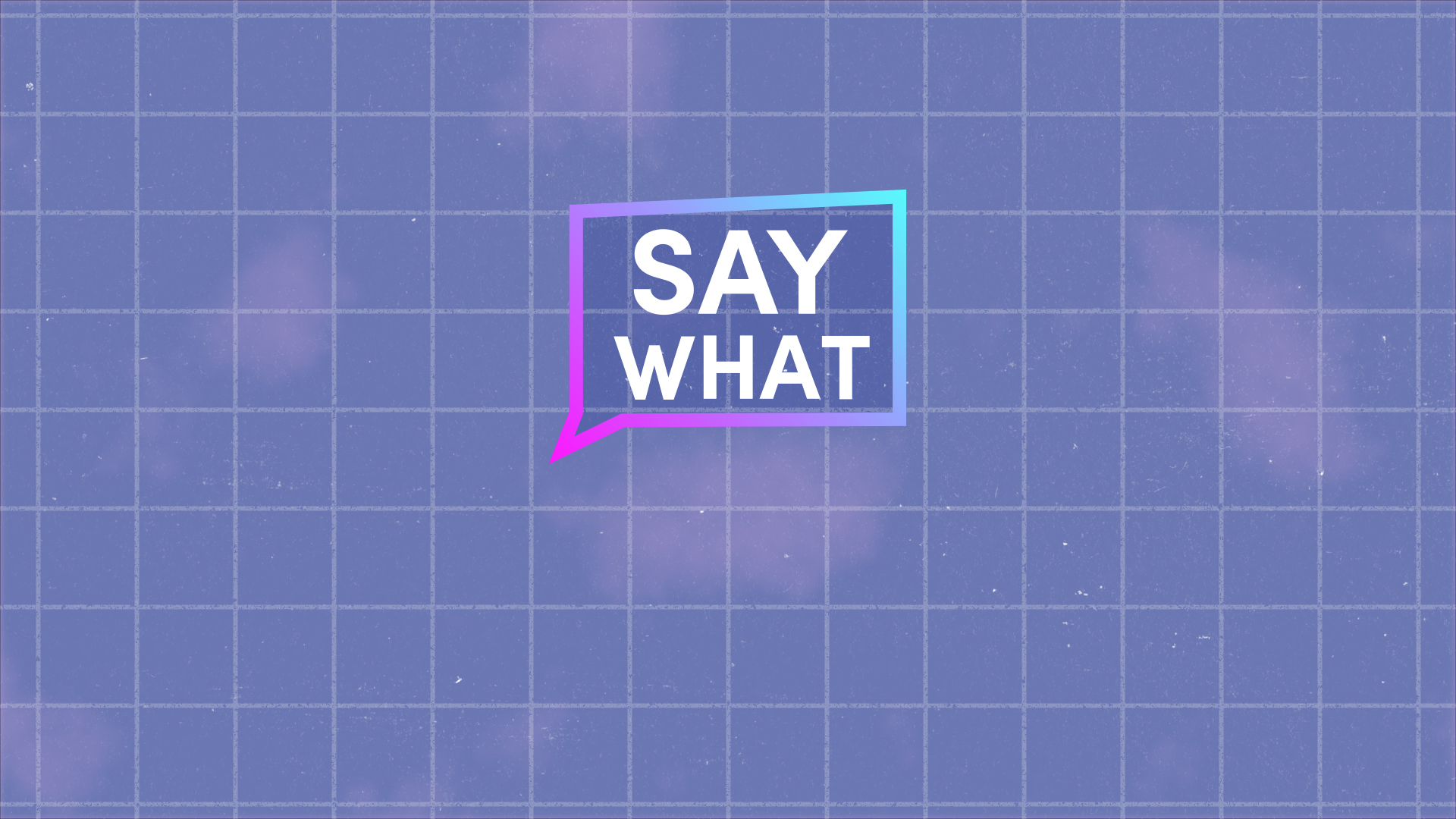 Say What